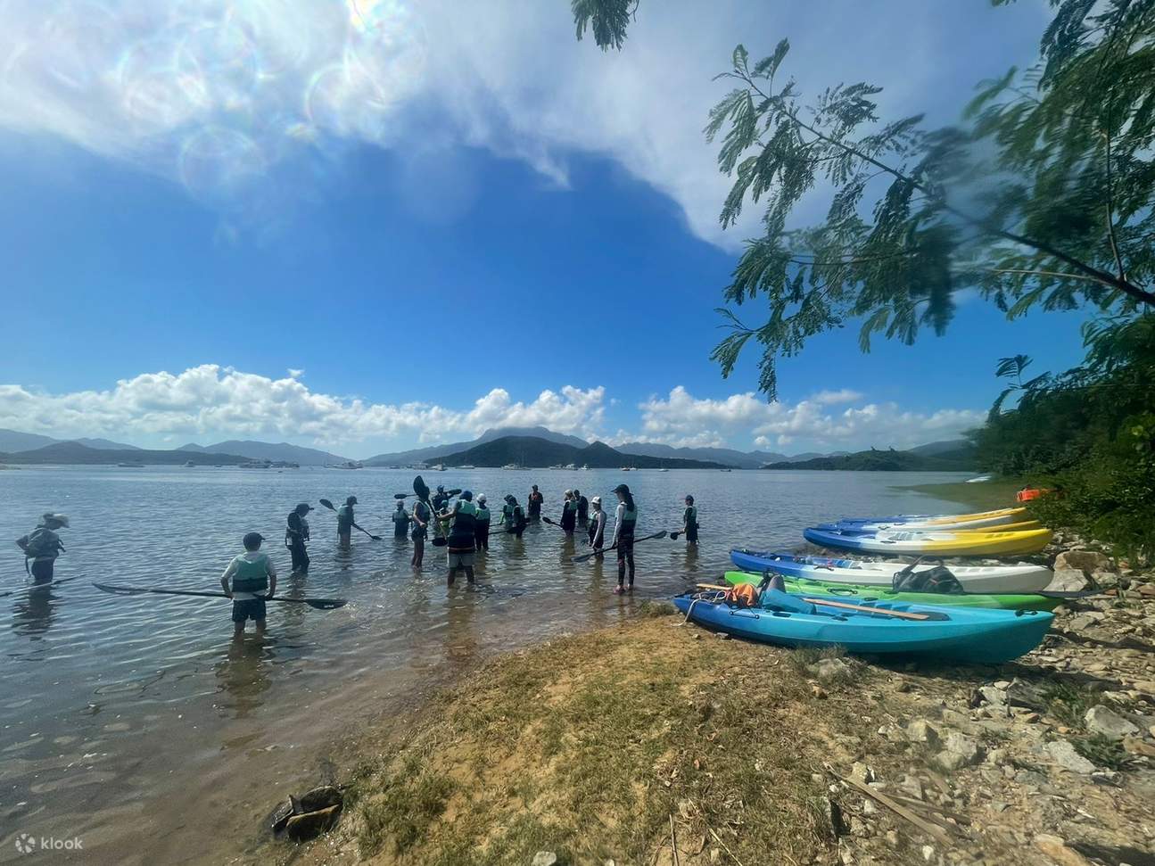 Meeresökologische Entdeckungstour – Streifzug durch den Mangrovenwald von Ting Kok und den Geopark Ma Shi Chau